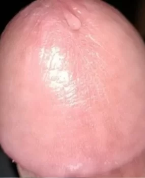 小哥哥刚下海